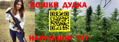 ПСИЛОЦИБИНОВЫЕ ГРИБЫ Новокубанск