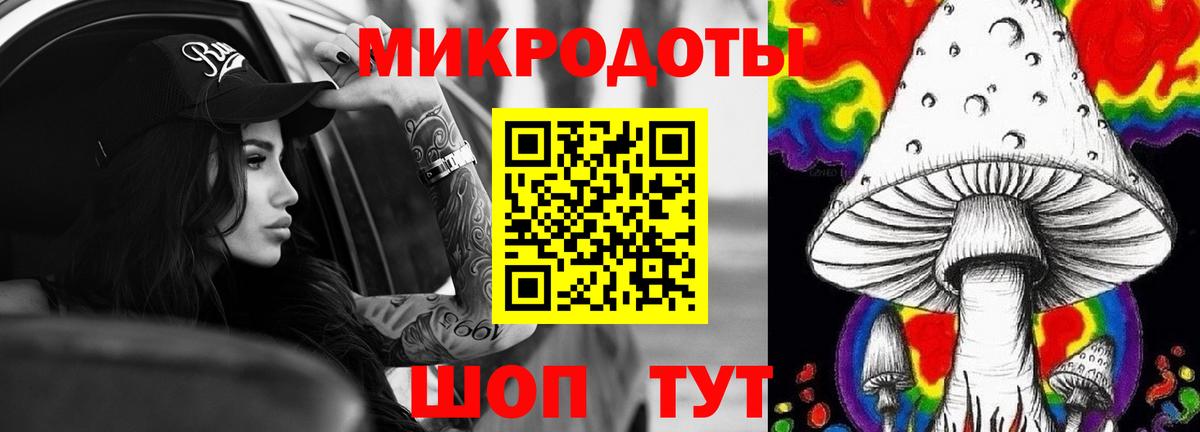 Псилоцибиновые грибы Psilocybine cubensis Тамбов