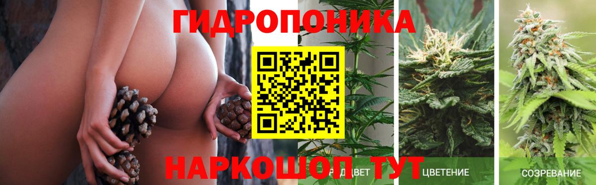 МАРИХУАНА индика  Каннабис сатива  Канабис сатива  Марихуана планчик  Вход с VPN  Тамбов 